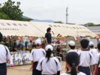 kouchou