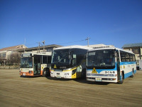 bus